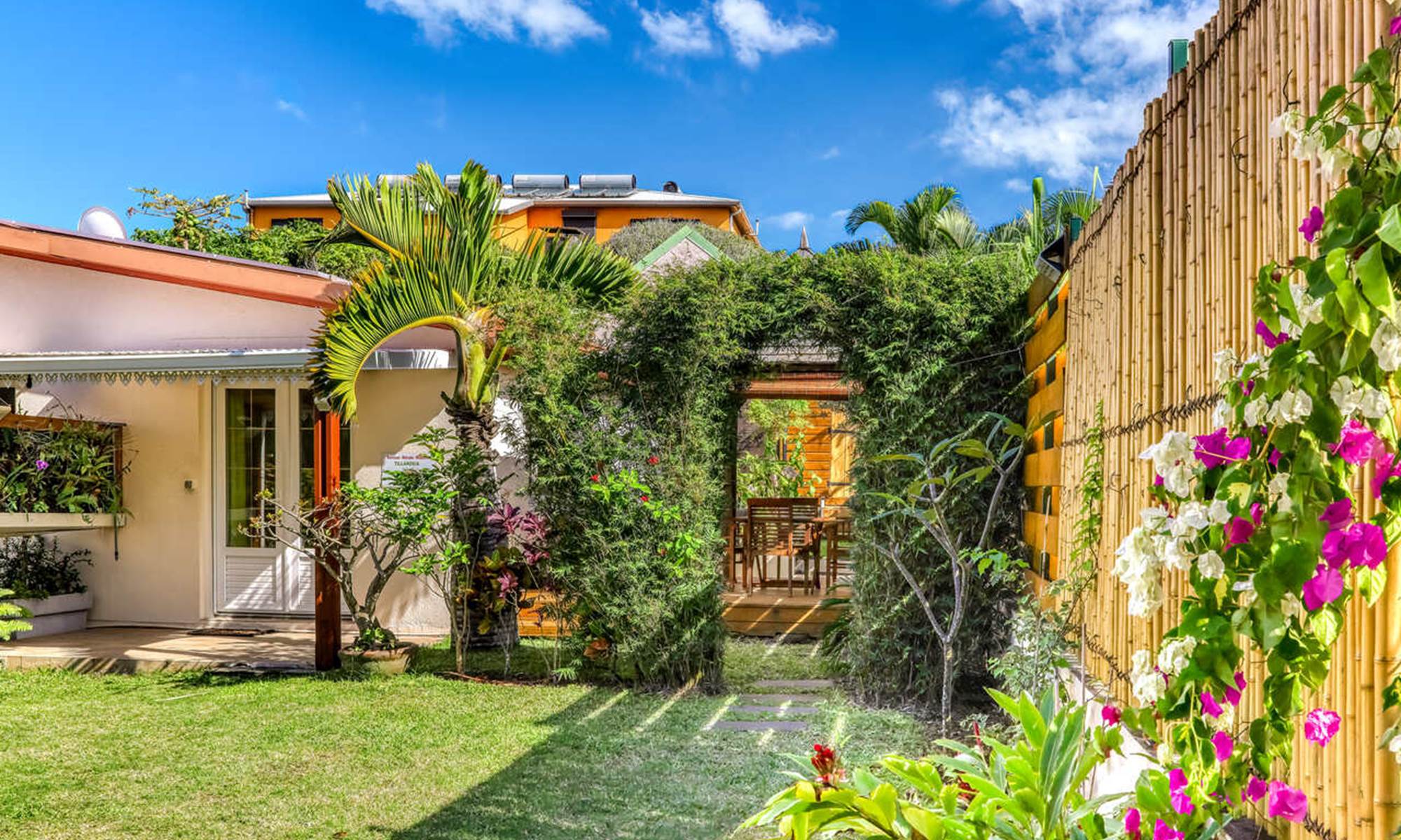 Arche de bambou dans le jardin