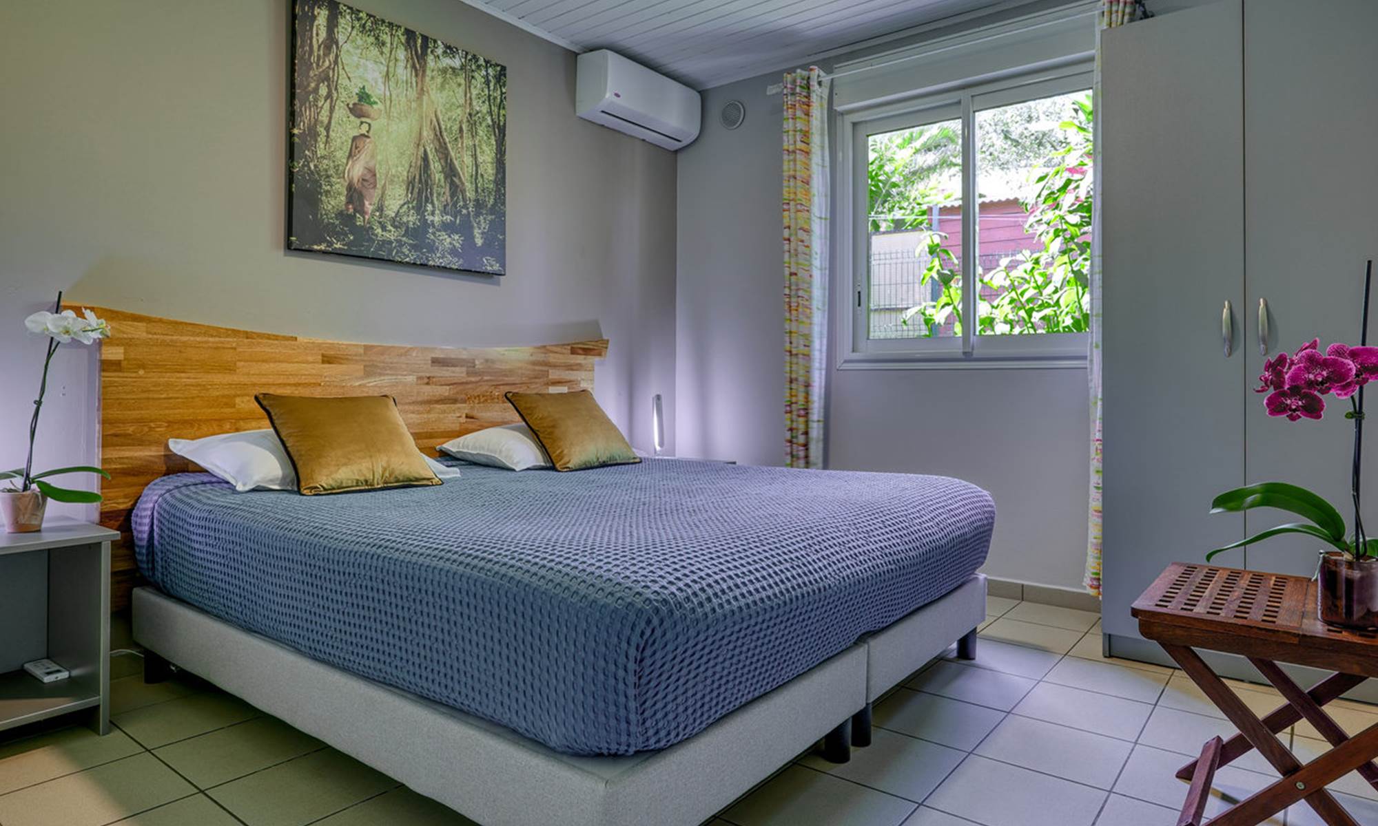 Chambre du Tillandsia